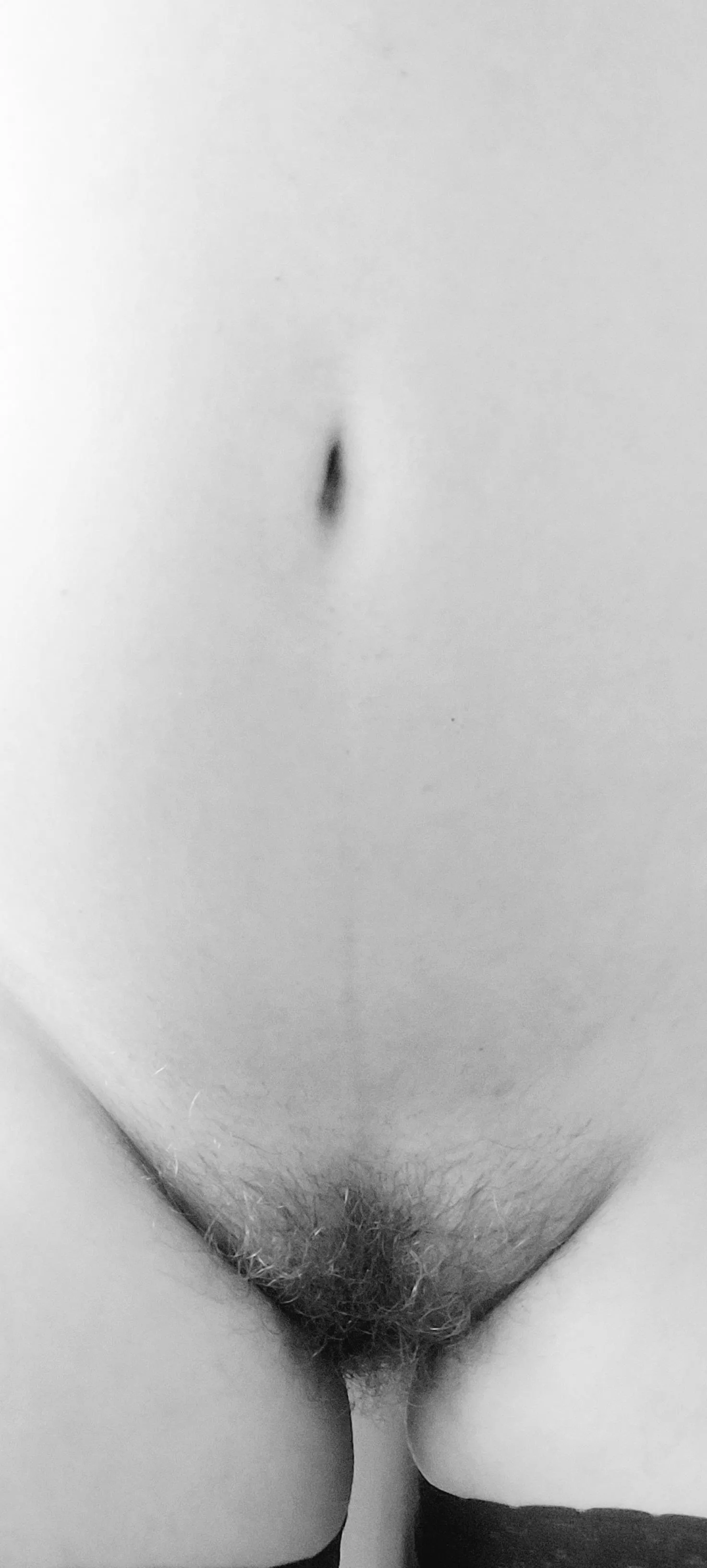 [IMG] B&W Tummy and Bush