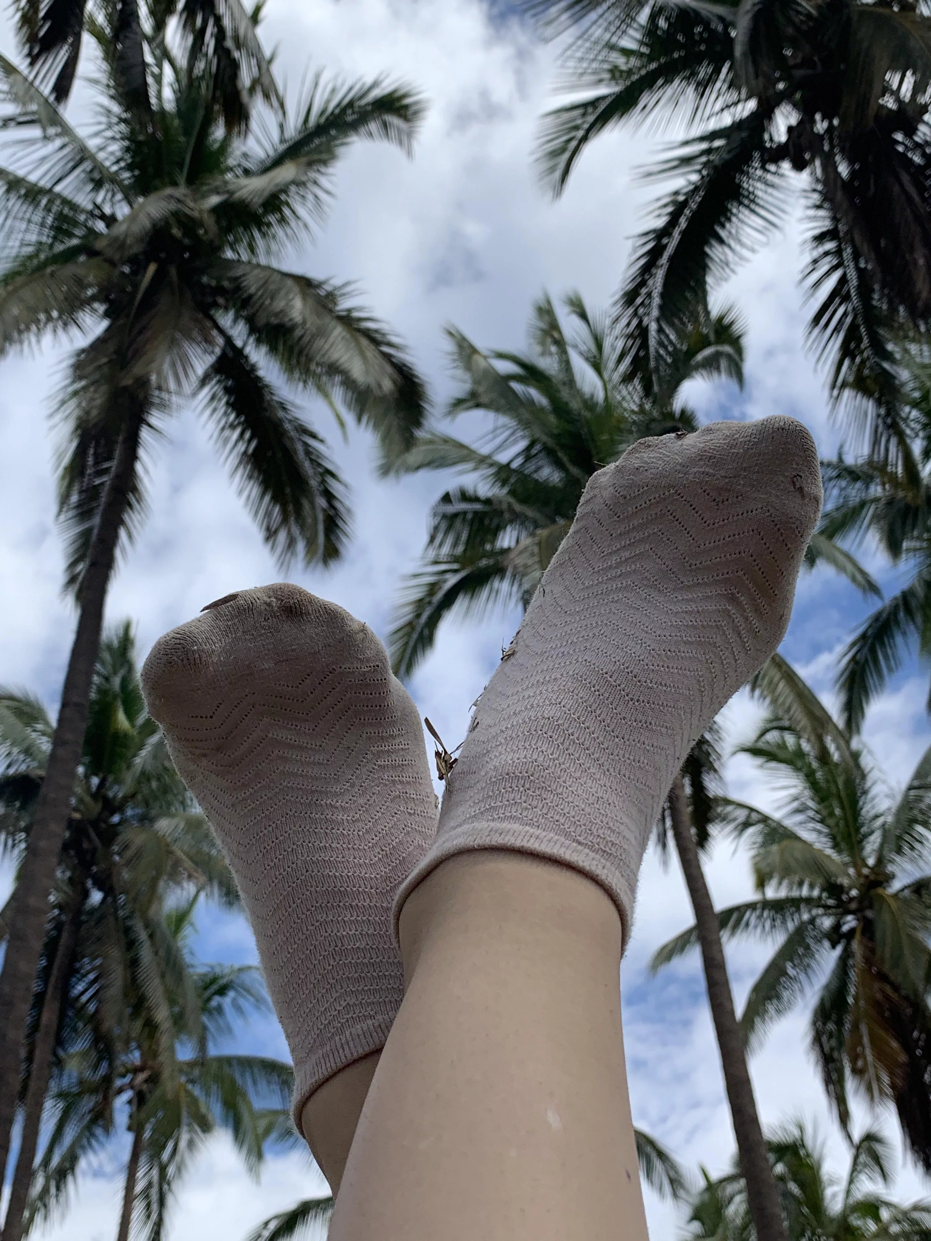 It’s hot and humid - imagine what these smell like