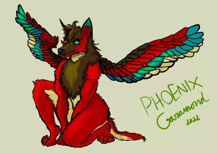 I've gone through life thinking I'm 