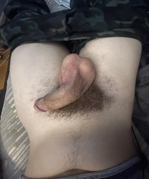 Just chilling with my dick out
