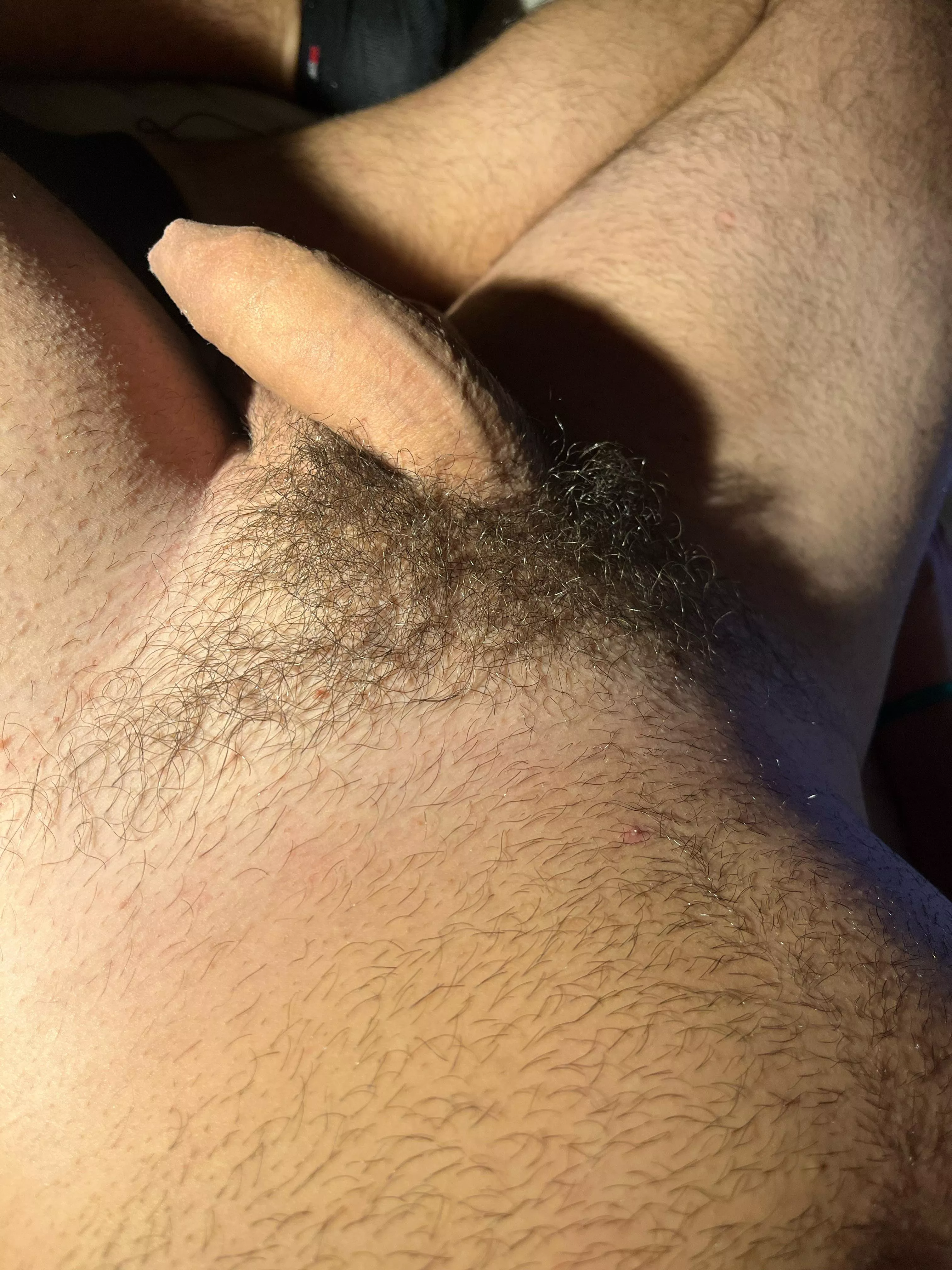 Just found out I’m probably an otter