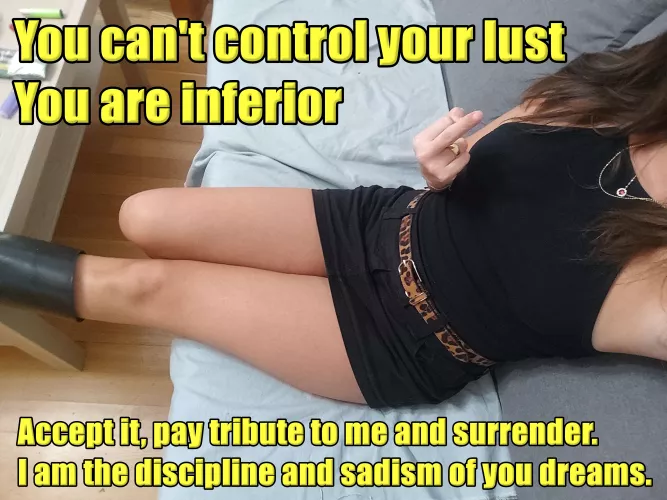 Kneel down and beg attention LOSER!!!!