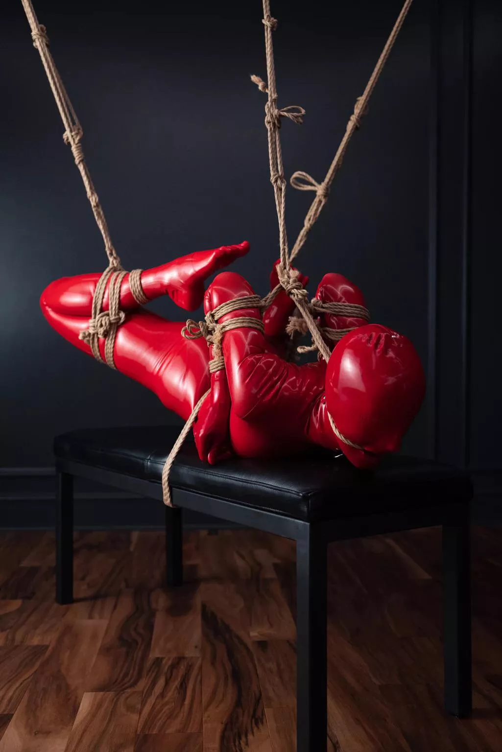 Latex and shibari [NB]