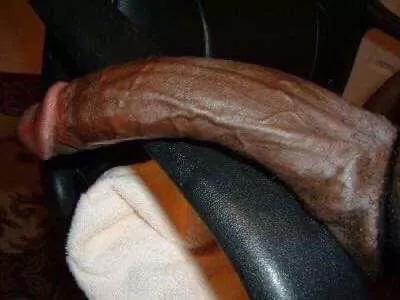 Let’s see if they like this