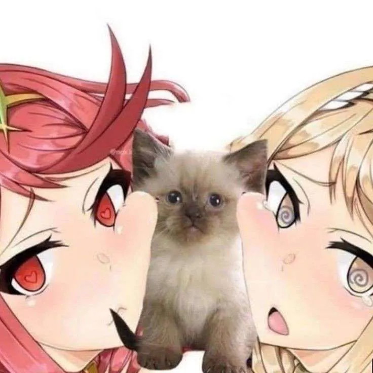 LF Color Source: 2girls, red hair, blonde hair, heart eyes, swirl eyes, open mouth, closed mouth, breath, white background, meme