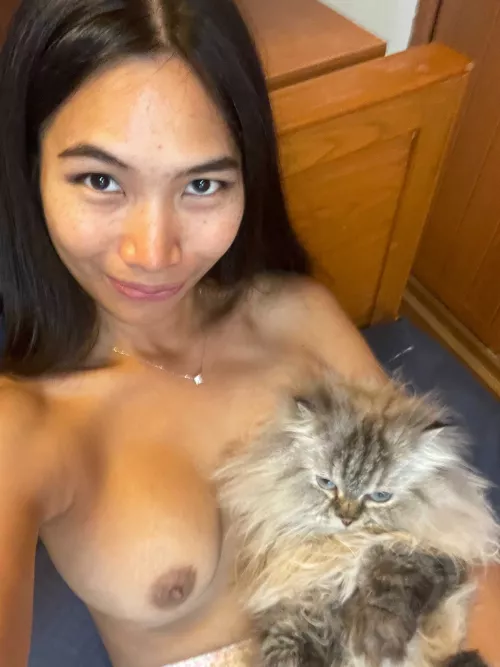 Meet my other cat!!!🥰🥰🥰