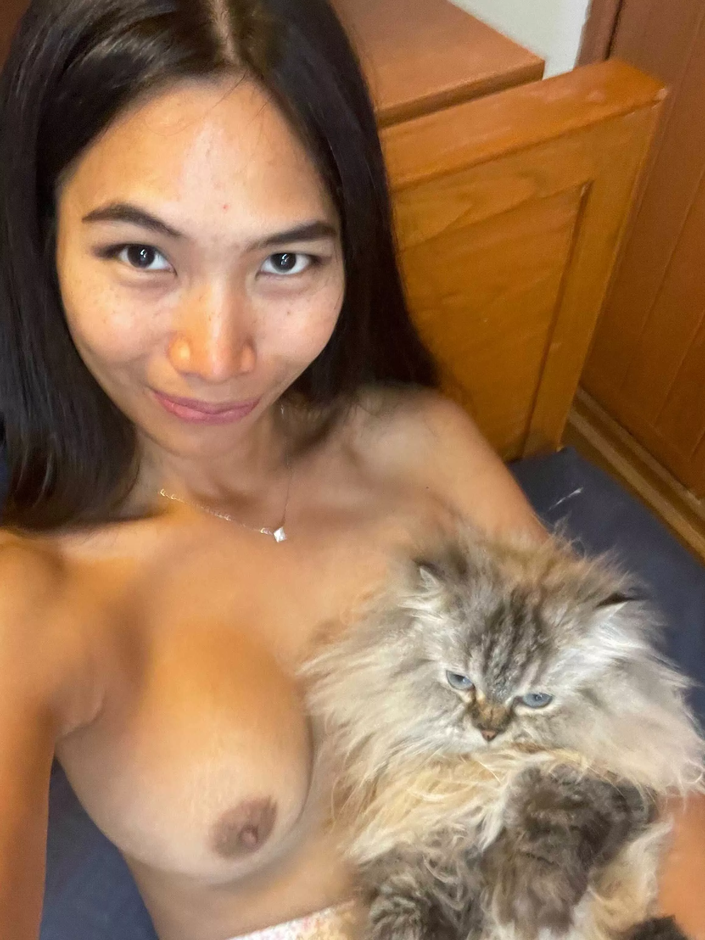 Meet my other cat!!!🥰🥰🥰