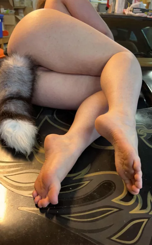 *Plop* I lay here now woof