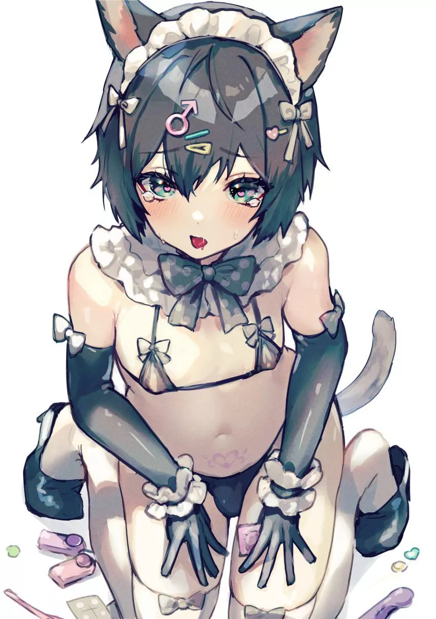 Ready to server master