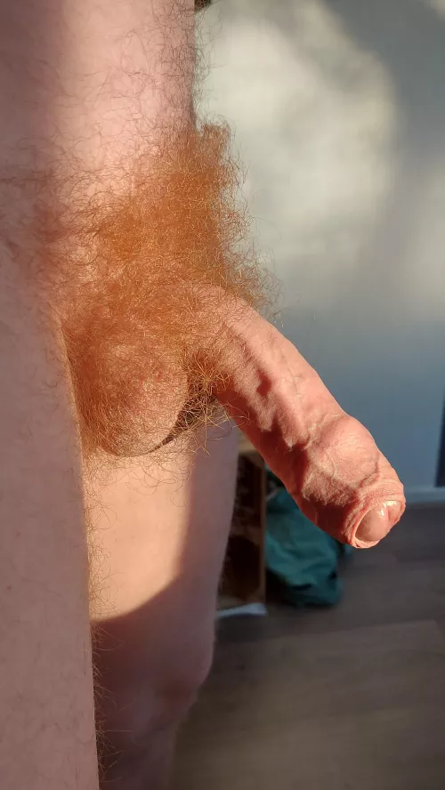 The sun underlines the ginger in the best way