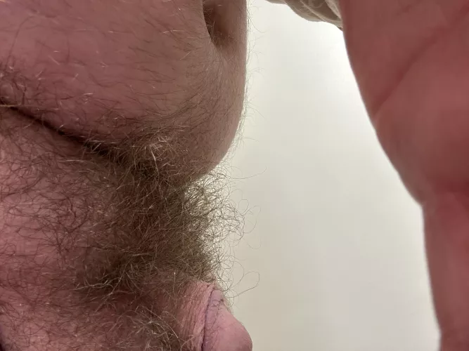 Thick musky pubes