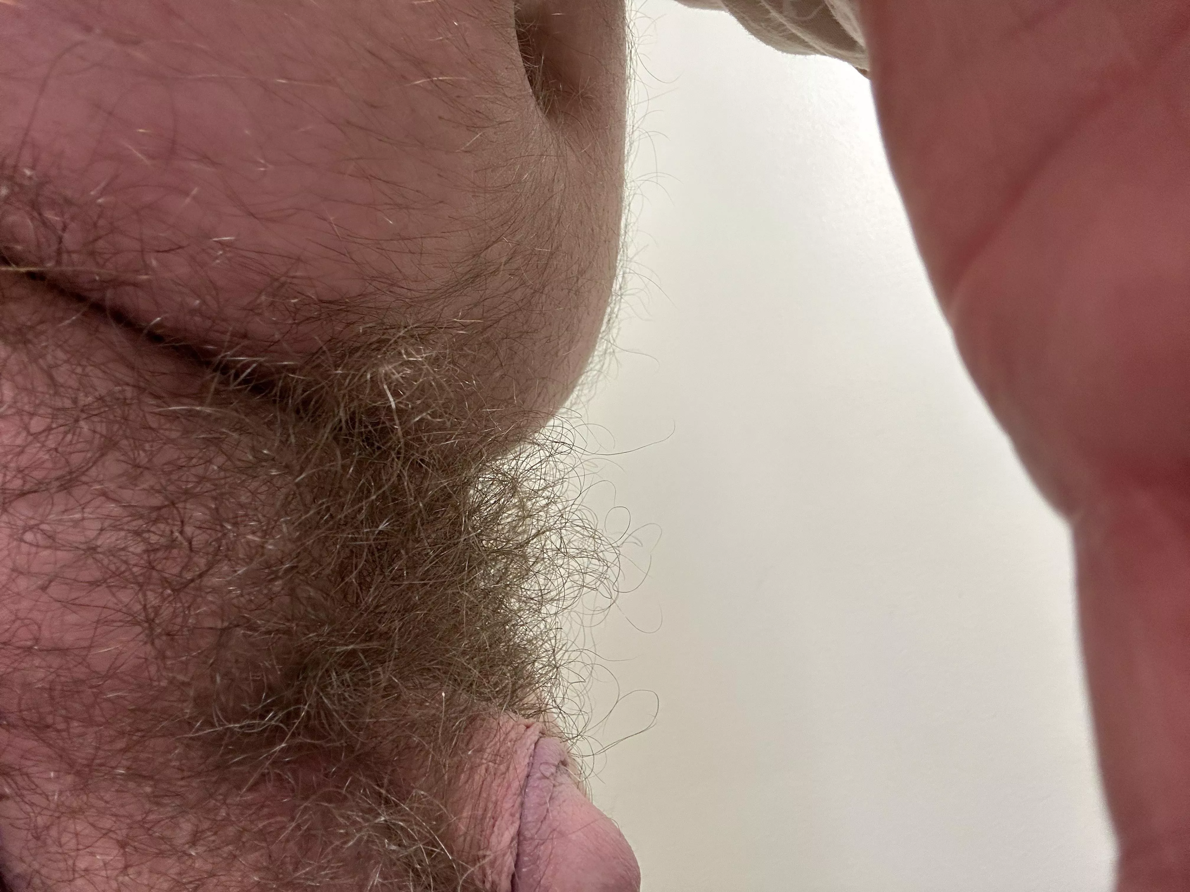 Thick musky pubes