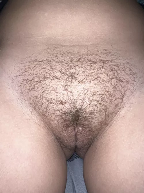 Today is day 43 after starting “No Shave November”