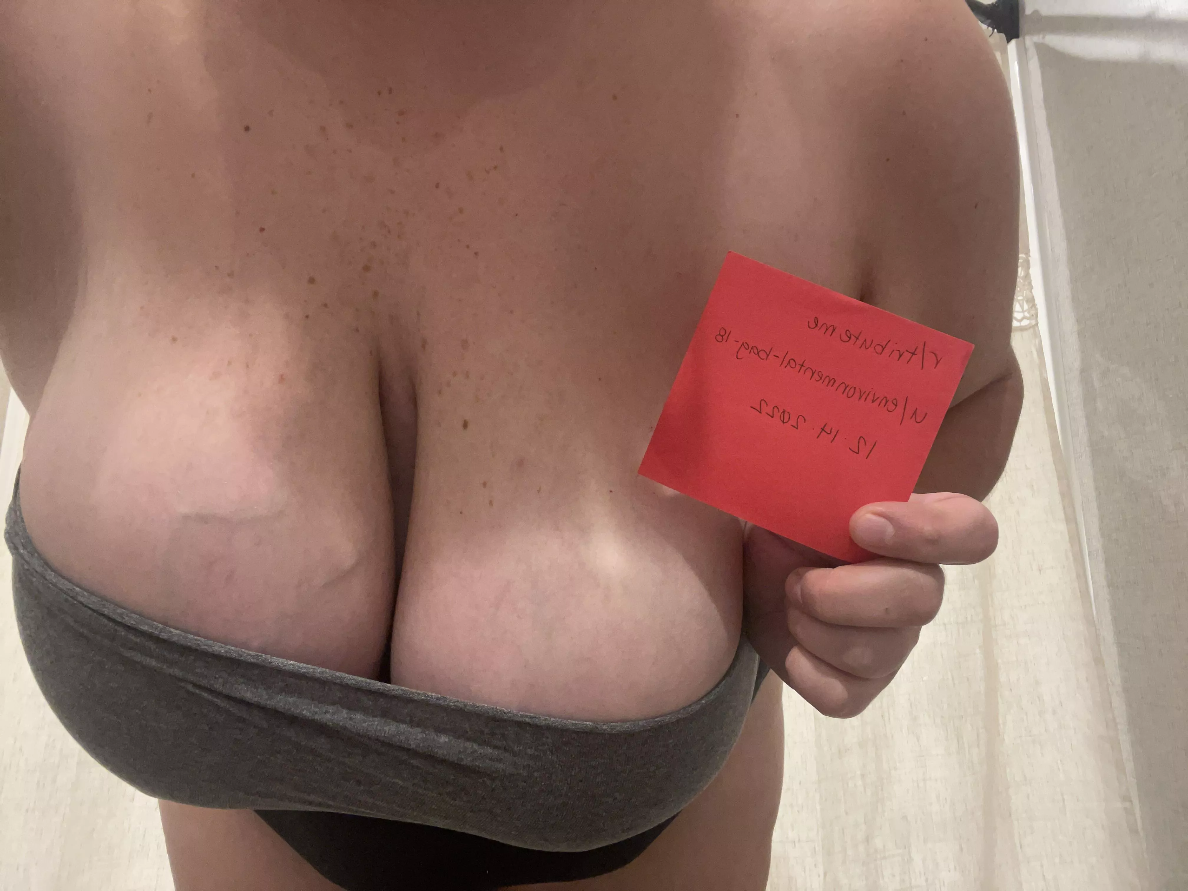[verification]