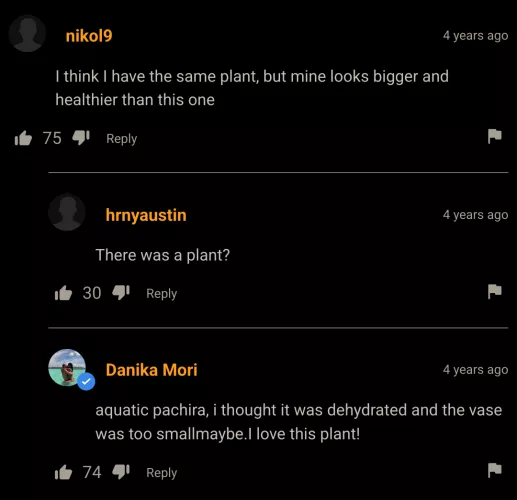 Y'all go and water ya plants