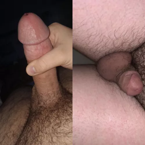 A cock compare between me and u/smolborpa