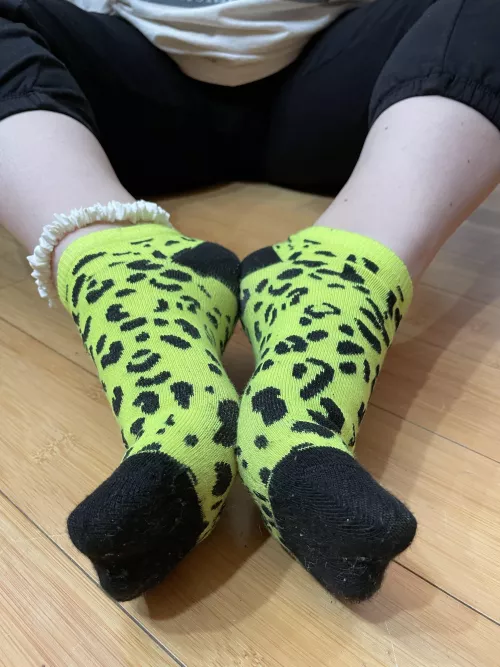 Can you find where you’d fit?