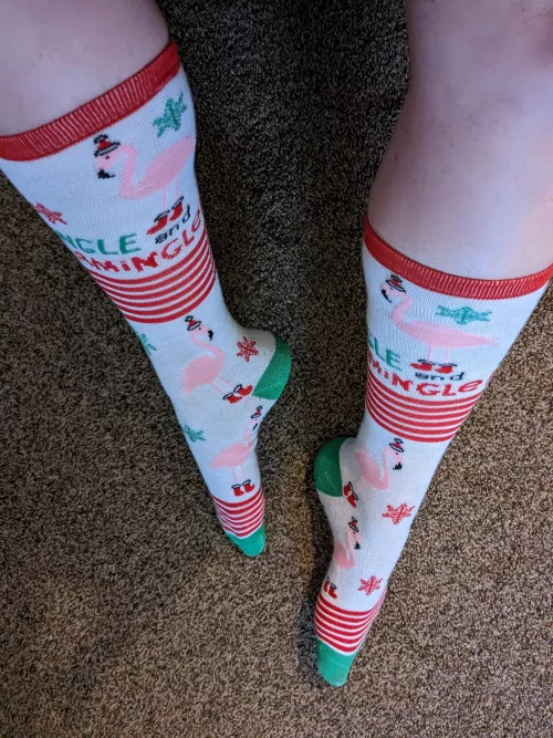 Check these week old holiday socks 🎁! Lots included ☺️ [selling]