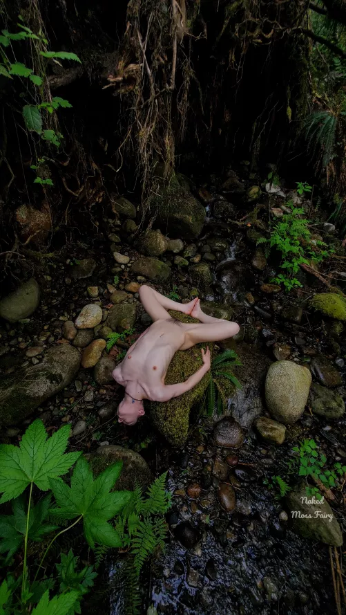 Creating shapes with mother nature🌿