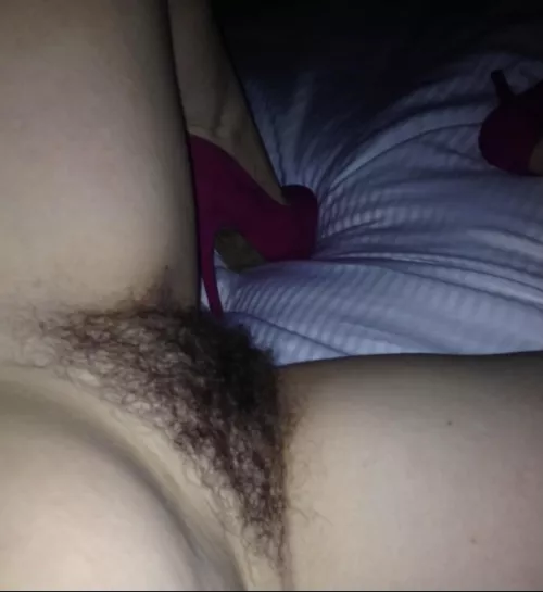 Debating on growing my bush back out to this