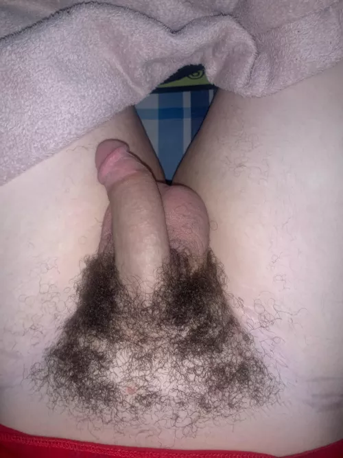 Dms is open I wanna trade