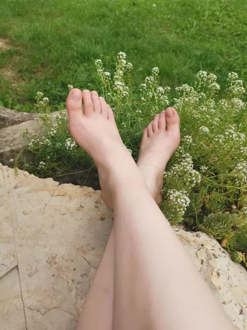 Do you think my natural toes are cute?