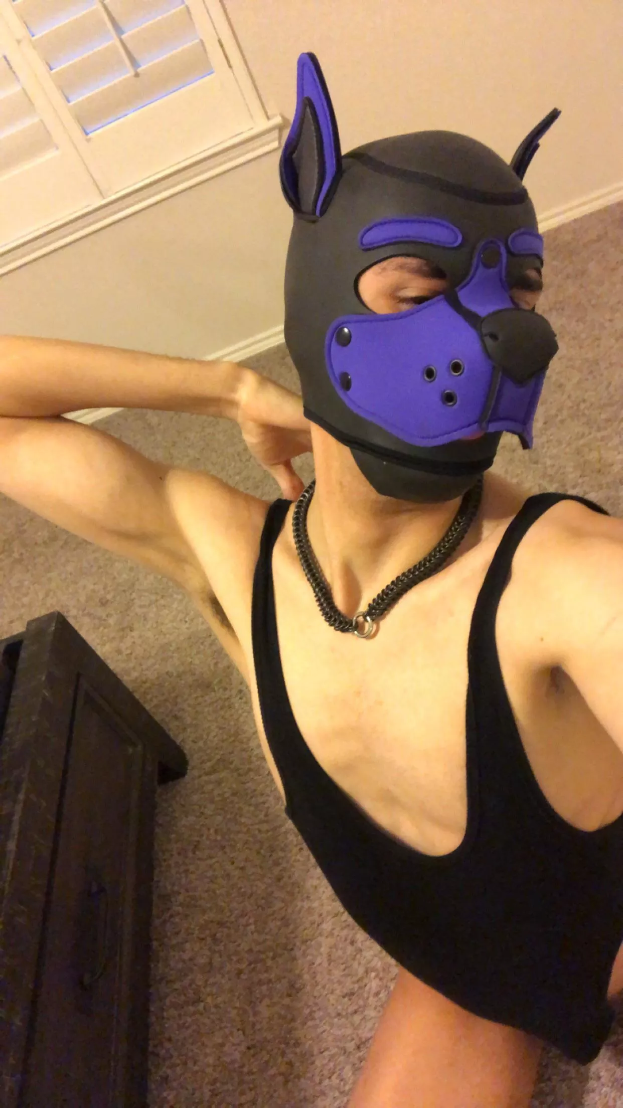 Hi puppies 🐶. Follow my Twitter @Neuro_pup