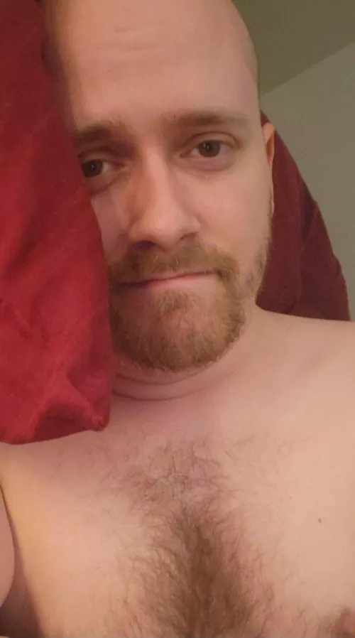 I don't want to get up today, only sleep and cuddles are allowed