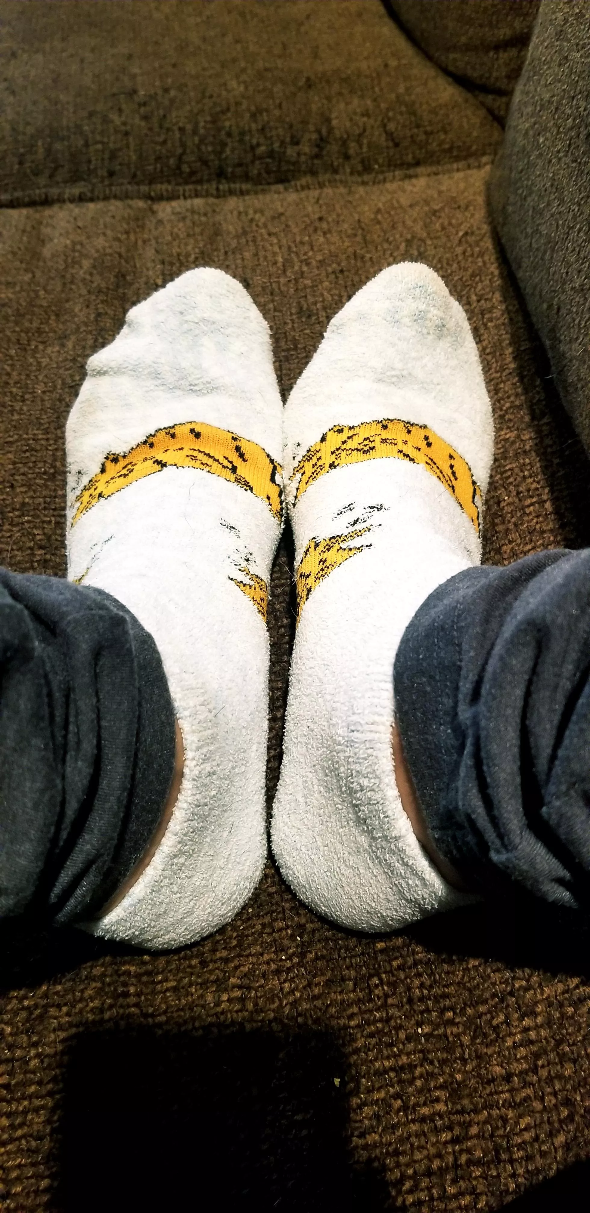 I love my Dirty kitty socks. Do you?