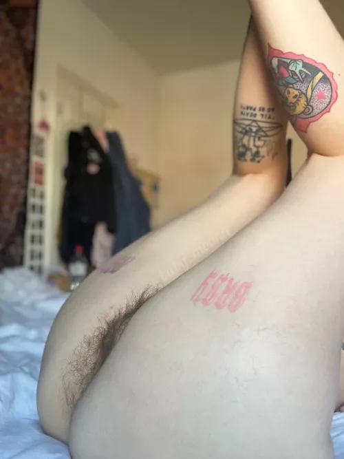 I love this side profile of my bush