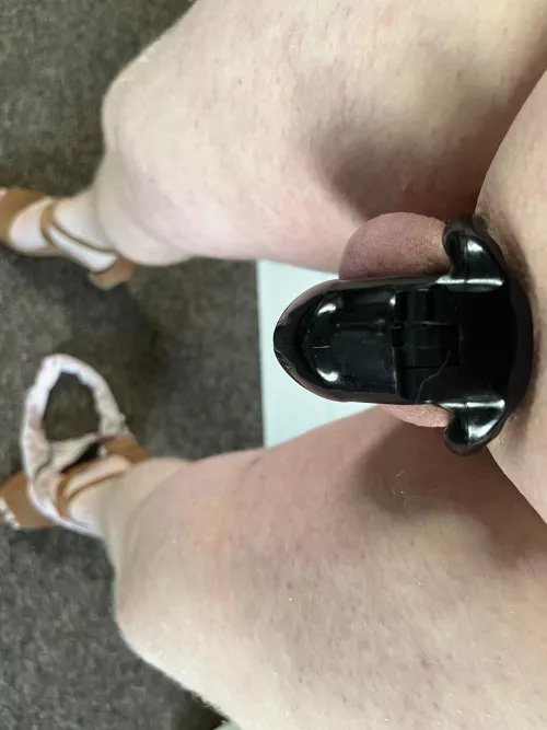 I think it’s been to long since I posted any pictures. So here we go