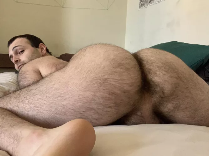 I’d love a big hairy bear to cuddle with and cum inside me…