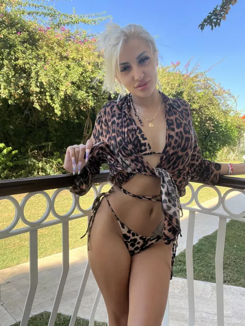 It was a great vacation, I'm going to celebrate Christmas again in Egypt