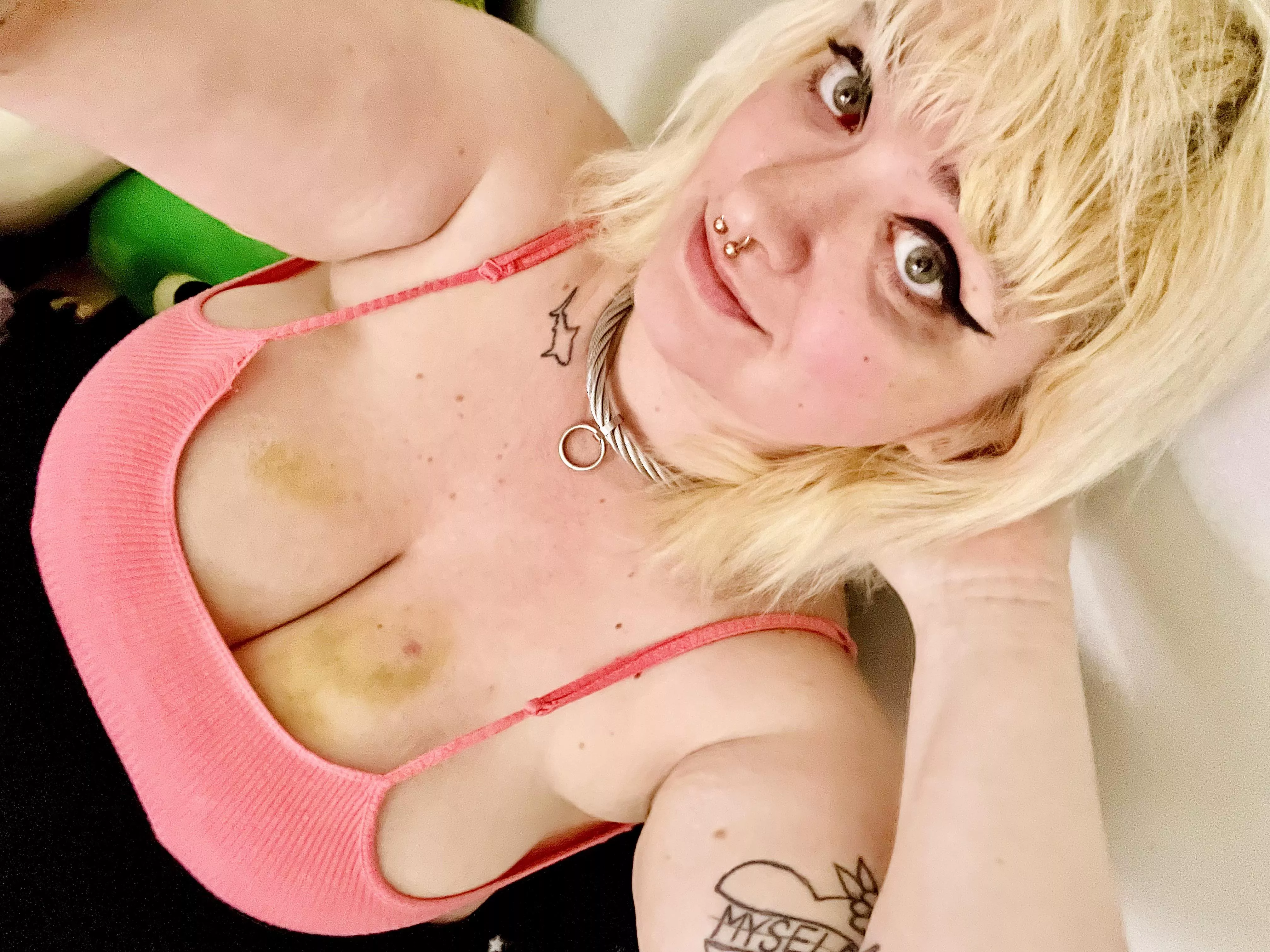 It’s moving day! The truck is packed and I’m driving 2.5 hours to be within walking distance of my Owner. The rest of my life starts today.