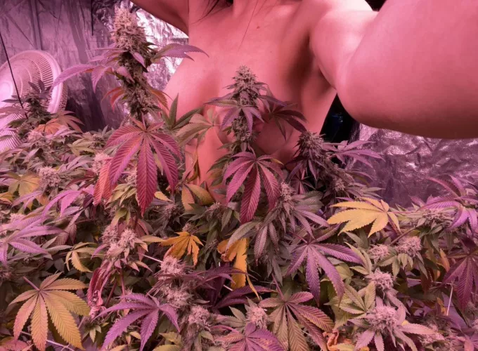 Ladies are lookin good today! 🍃[f]