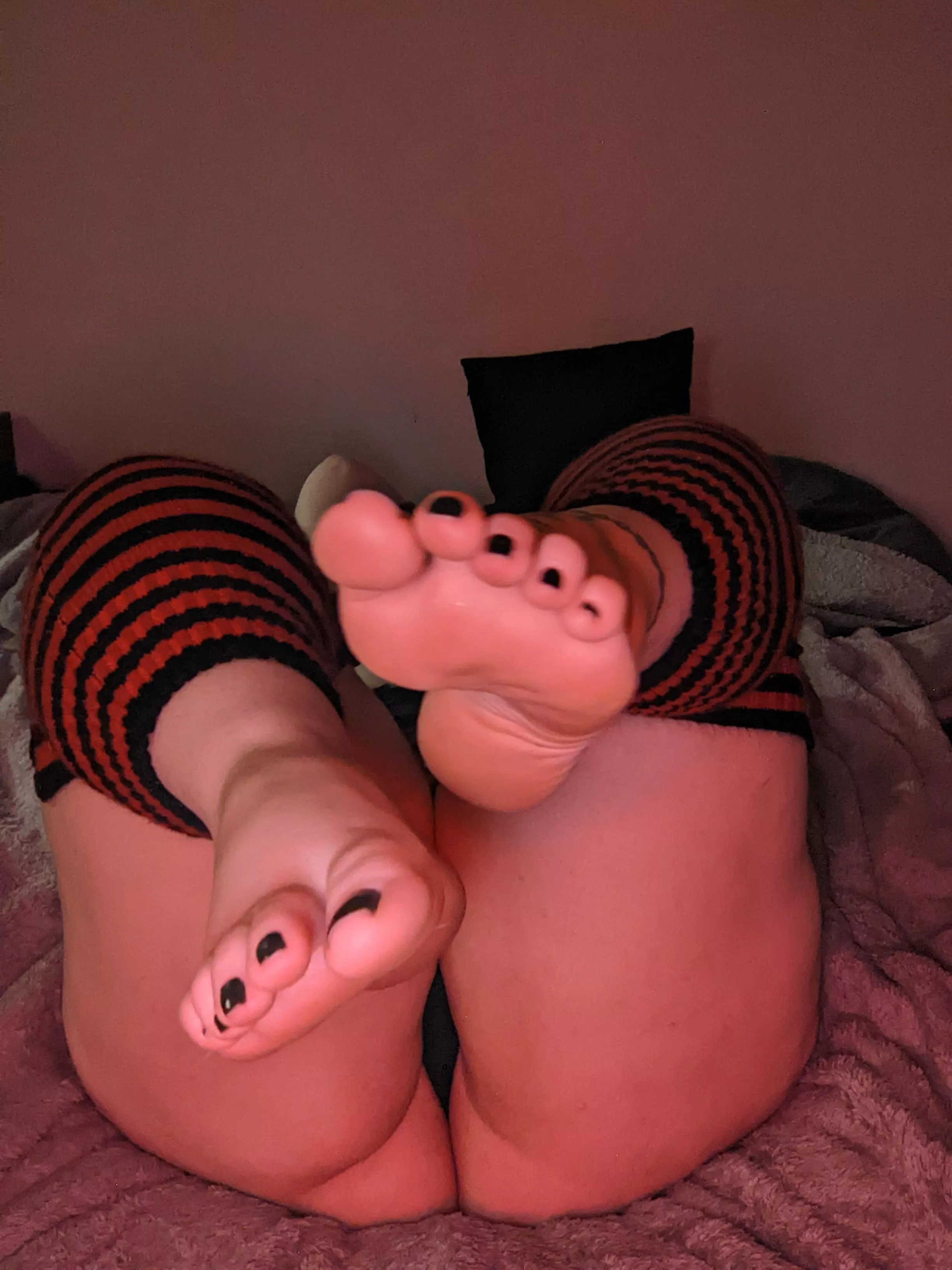 lick my toes then my pussy