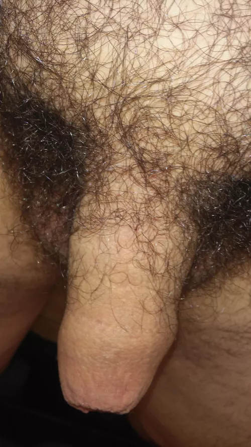 Like this? 😄 head would be nice