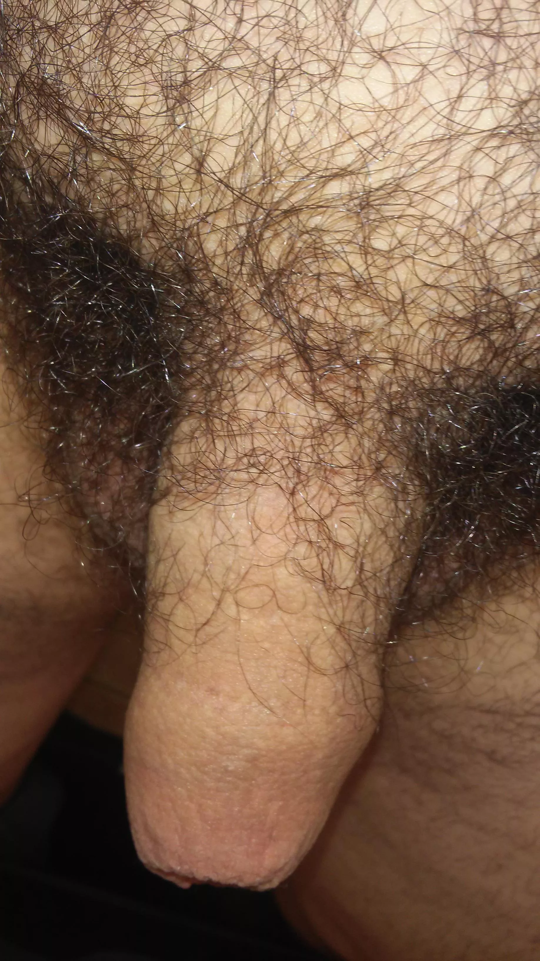 Like this? 😄 head would be nice