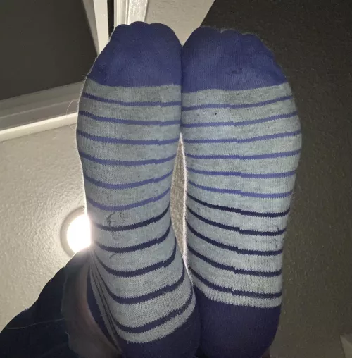 Little moist purple stripe sock after 3 days of wear. Dm