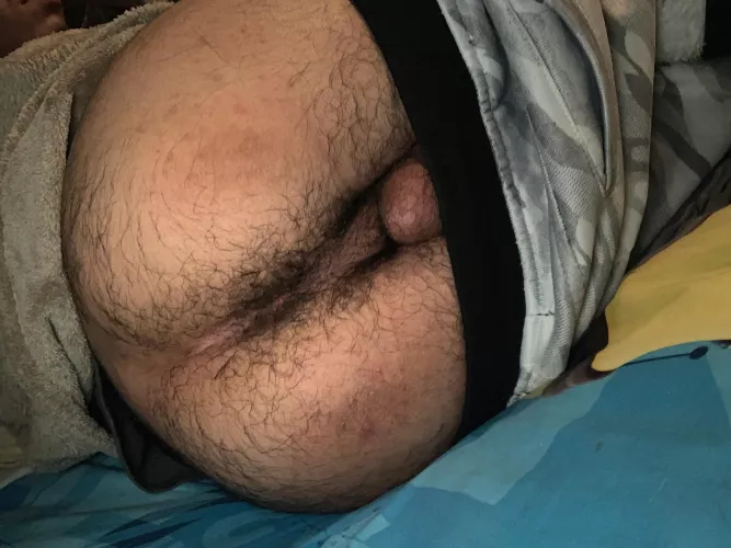 Looking for someone to cuddle with this winter