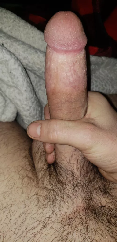 My bull cock is ready for your wife's asshole