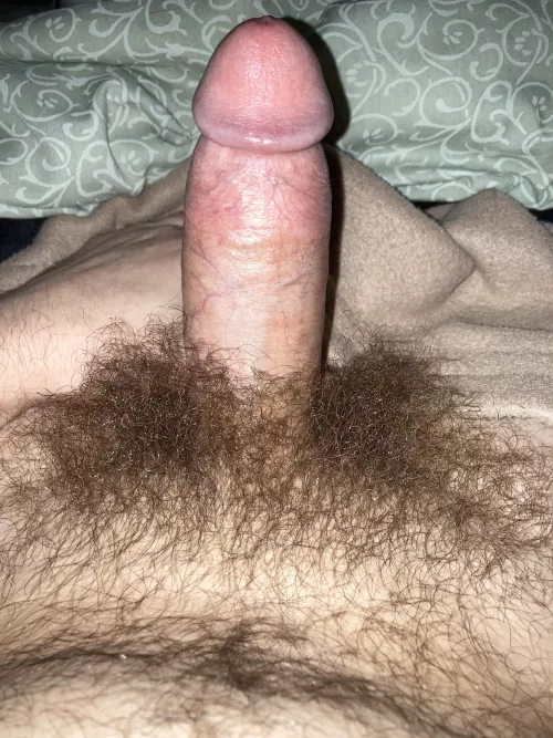 My dick looks shorter with a bush but I still love the bush