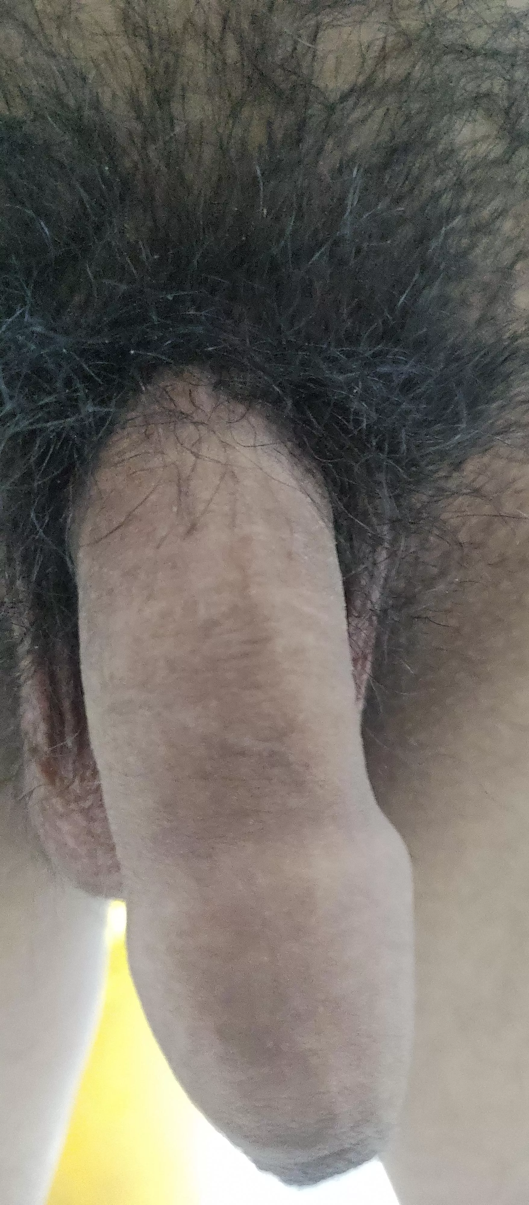 NEED A BULL THIS IS THE MAX I REACH THATS WHY WE NEED A BULL