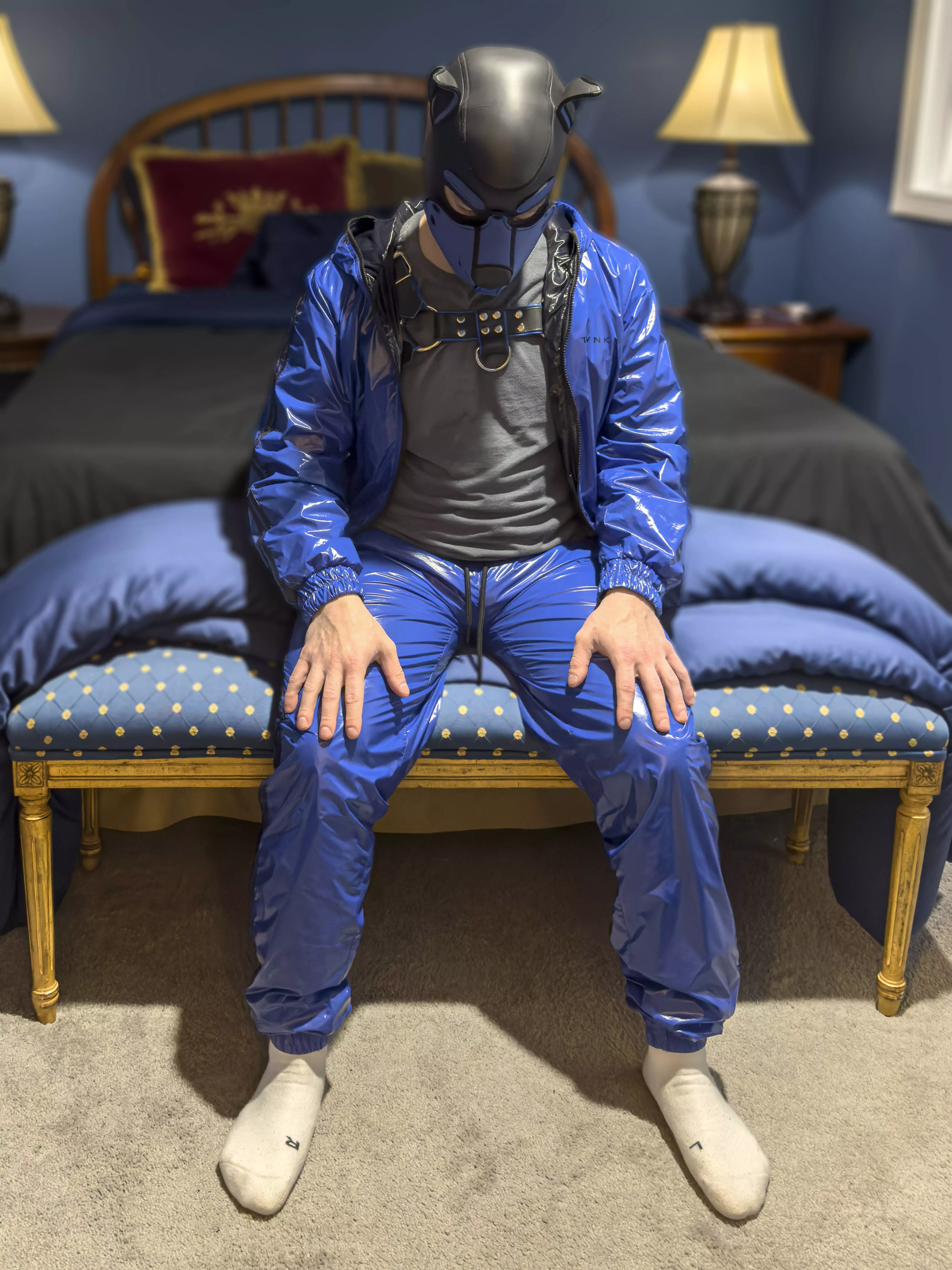 patiently waiting for a pup friend.