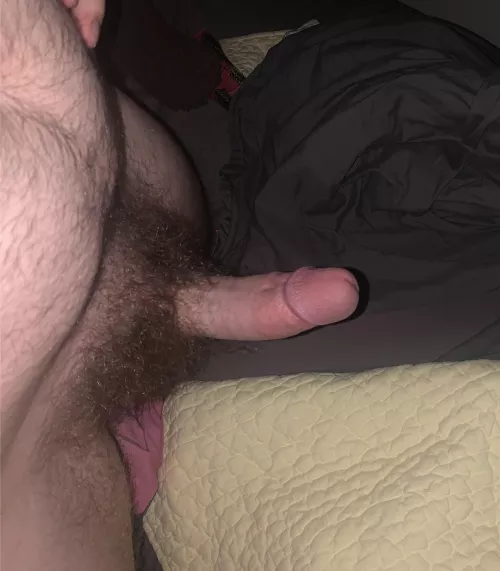 rock hard and ready to fuck