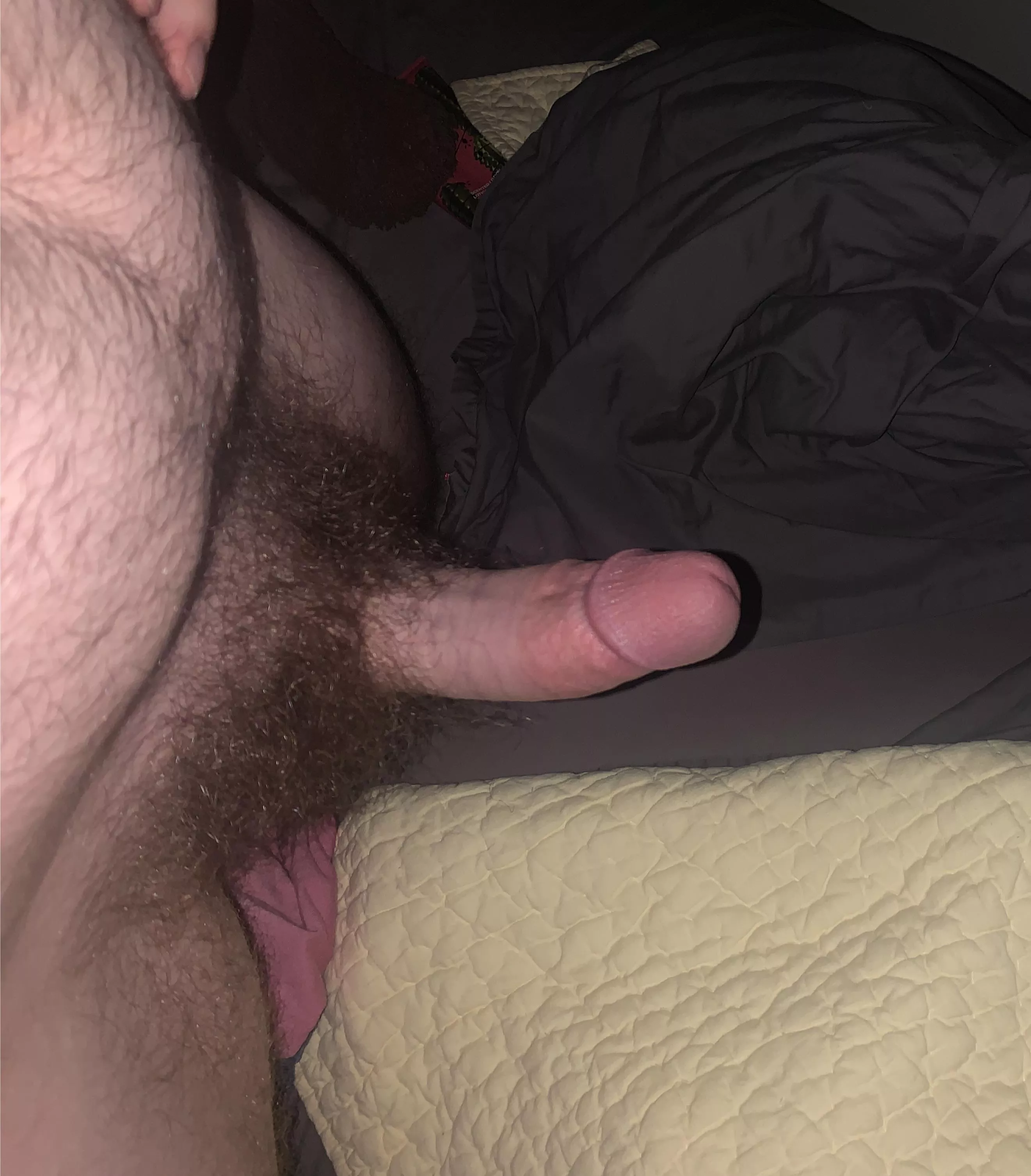 rock hard and ready to fuck