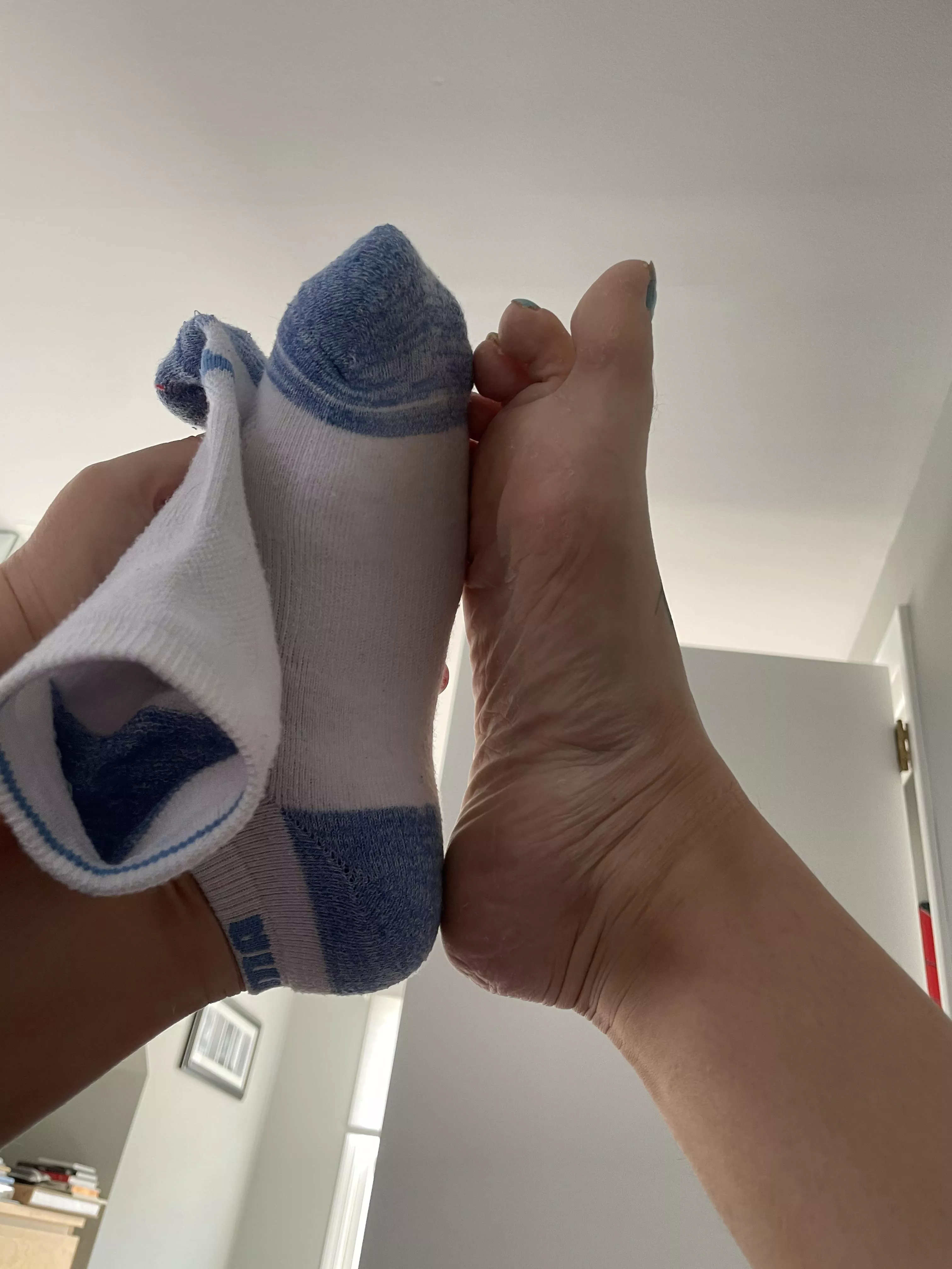 Sniff my 2-day old socks and suck my toes