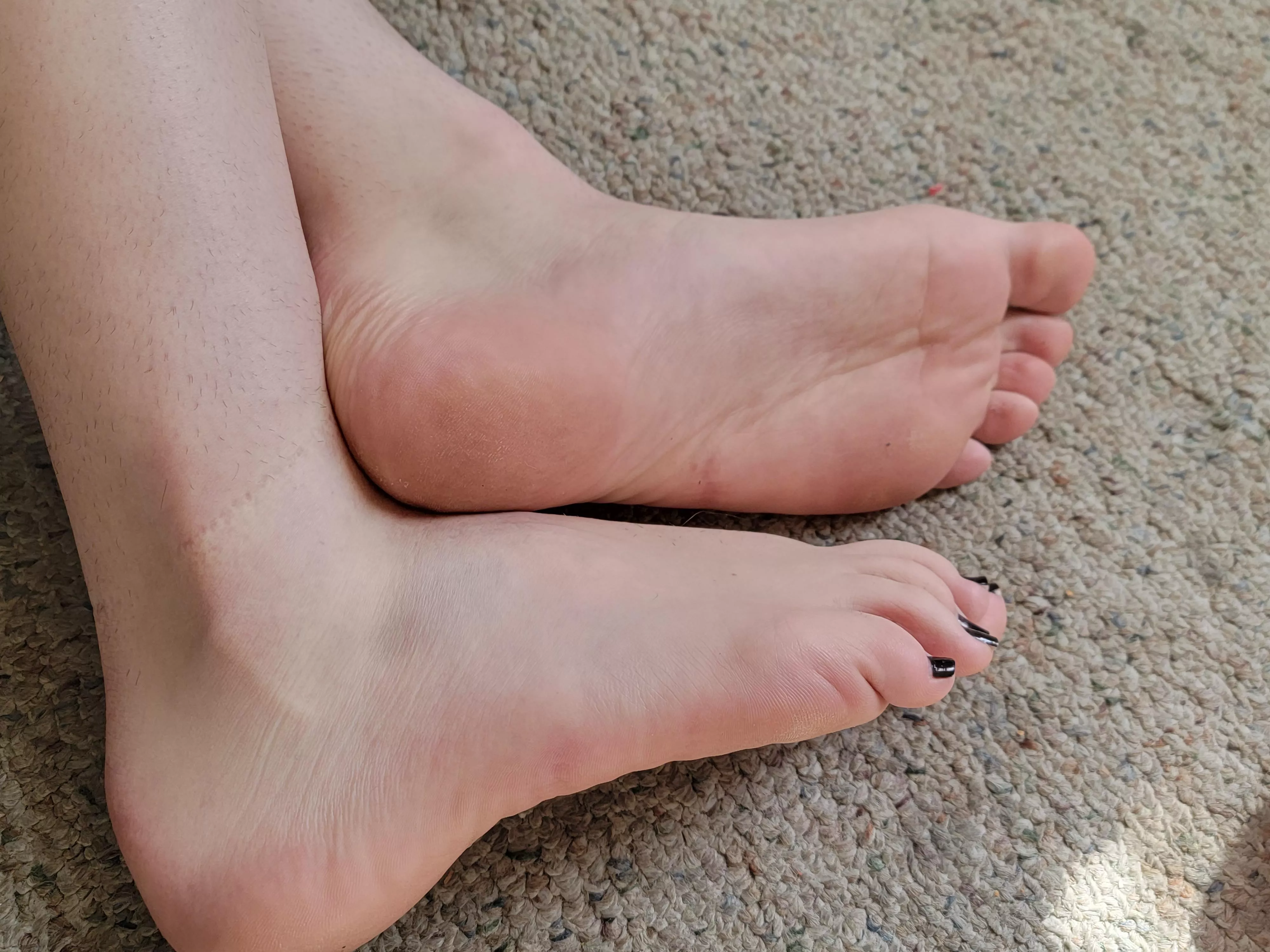 Some kitty soles and hiding toes 🥰