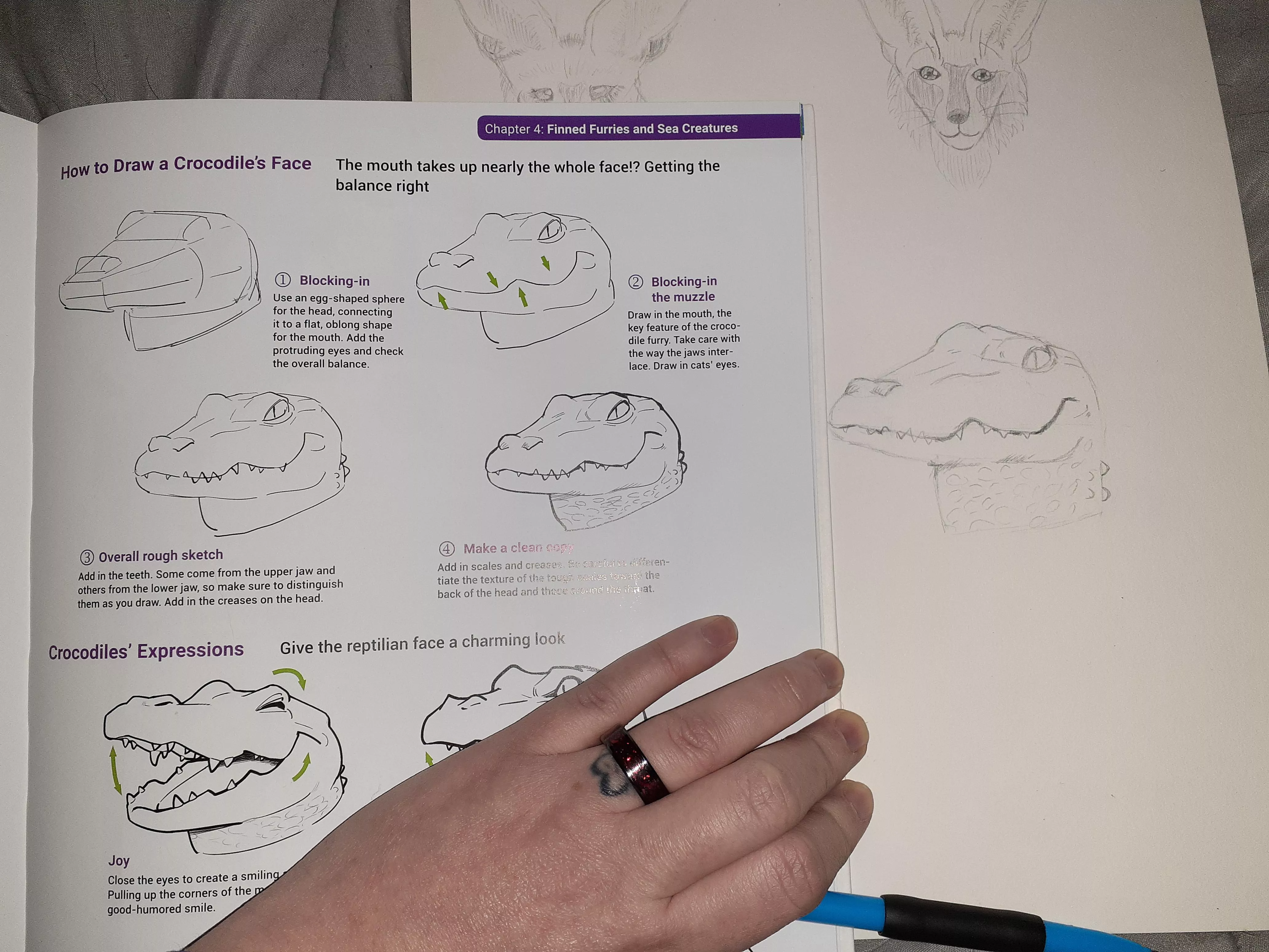 This morning's exercise, a crocoligator (lol)