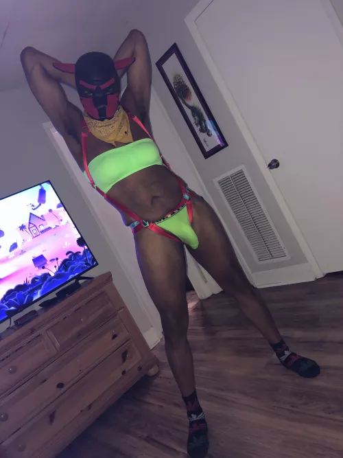 wanna wrestle? 🐶🐶